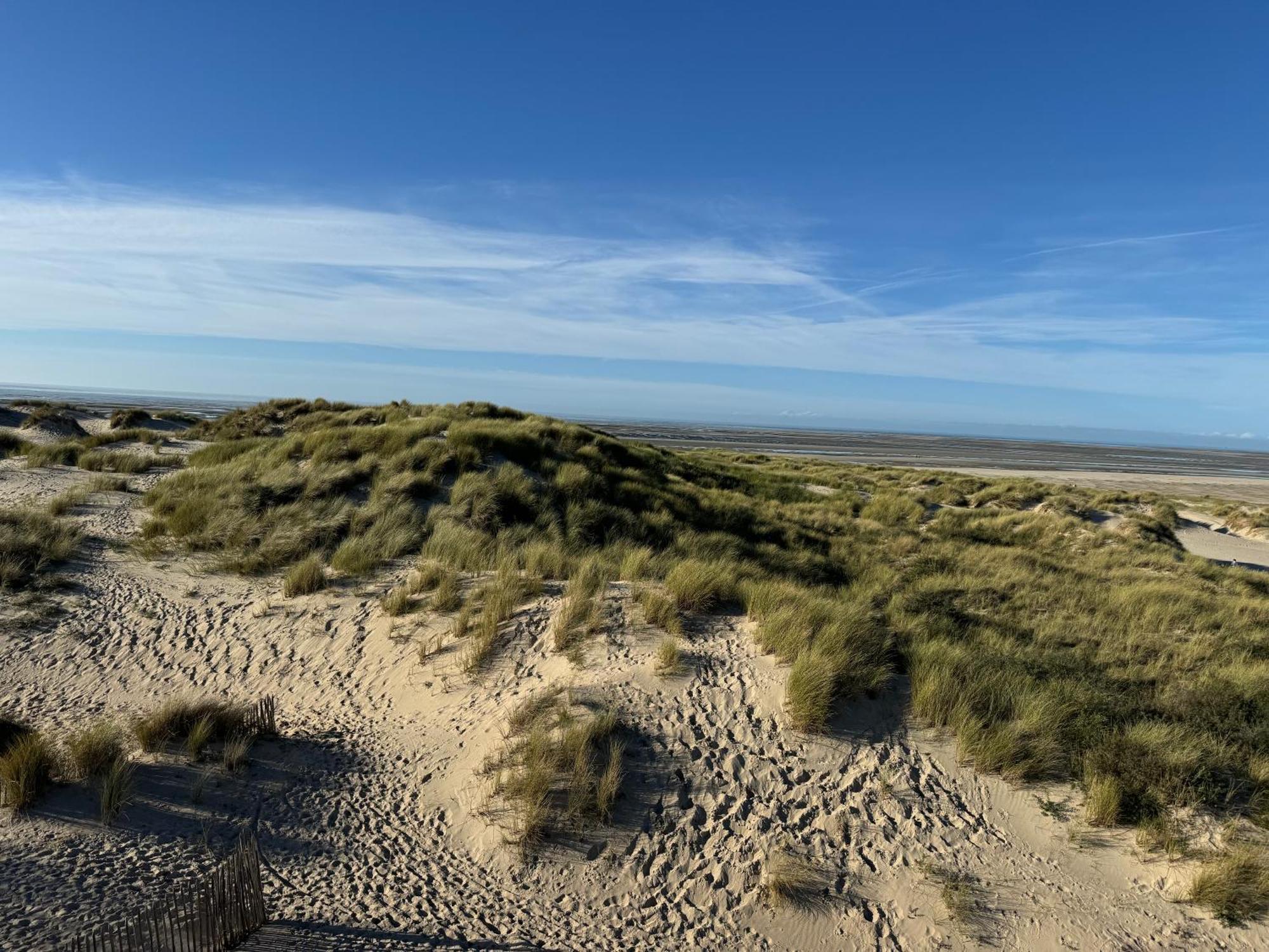 Le Touquet - Superbe Appartement 3 Chambres - Proche Mer & Centre - Wifi 外观 照片